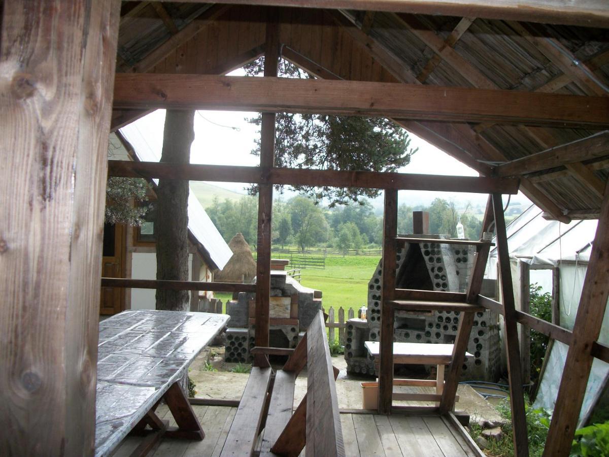 Casa Florea Poiana Stampei Exteriör bild