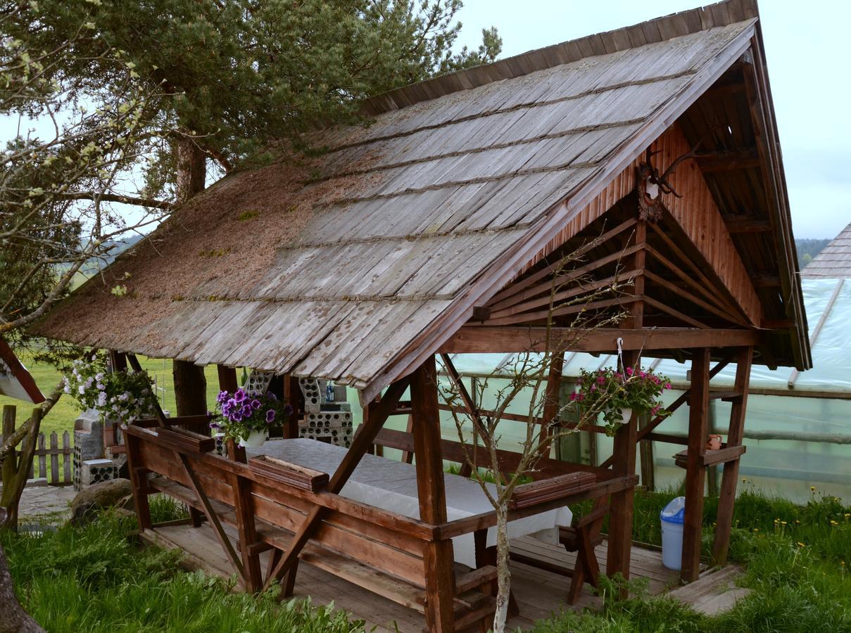 Casa Florea Poiana Stampei Exteriör bild