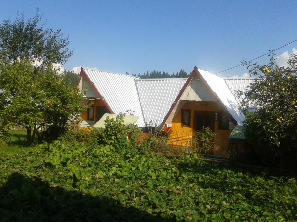 Casa Florea Poiana Stampei Exteriör bild