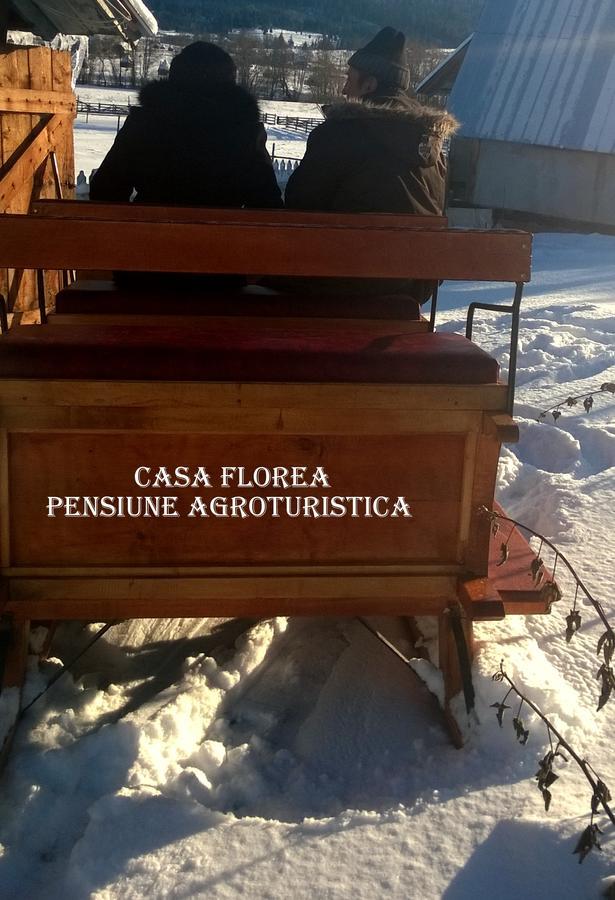 Casa Florea Poiana Stampei Exteriör bild