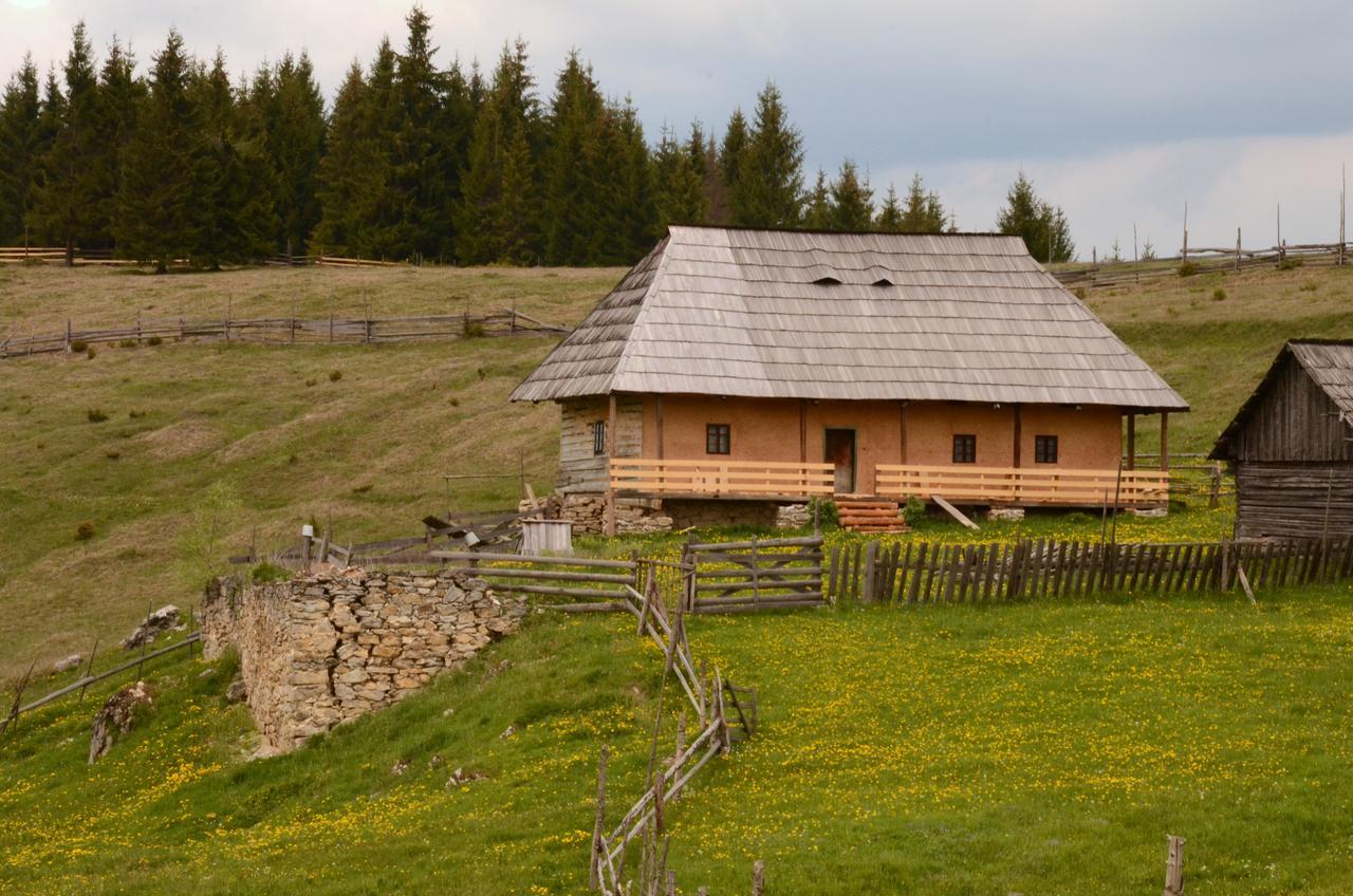 Casa Florea Poiana Stampei Exteriör bild