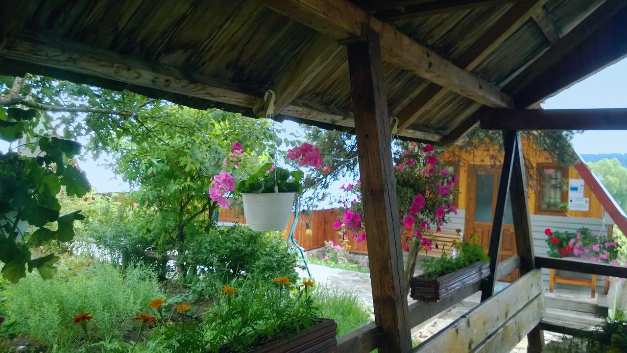 Casa Florea Poiana Stampei Exteriör bild